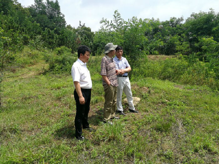 VRR12G34ZCHWV7QYNDU028